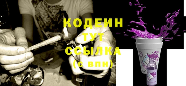 СК Волосово