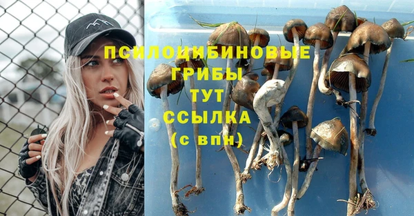 мдма Волоколамск