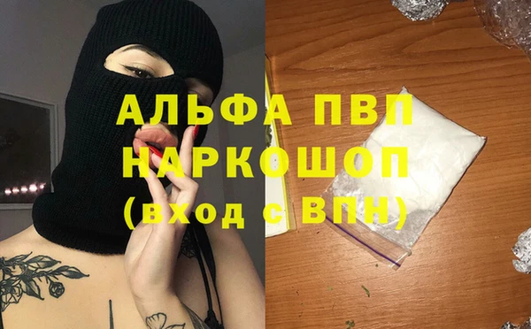 СК Волосово