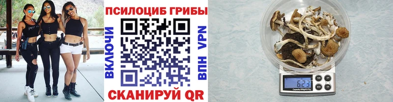 ОМГ ОМГ ссылка  Нижний Ломов  Галлюциногенные грибы Magic Shrooms  цена  